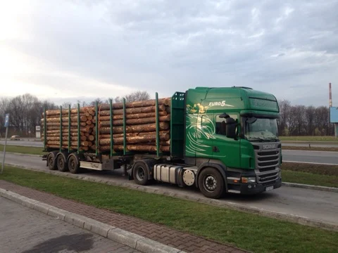 Transport drewna Scania